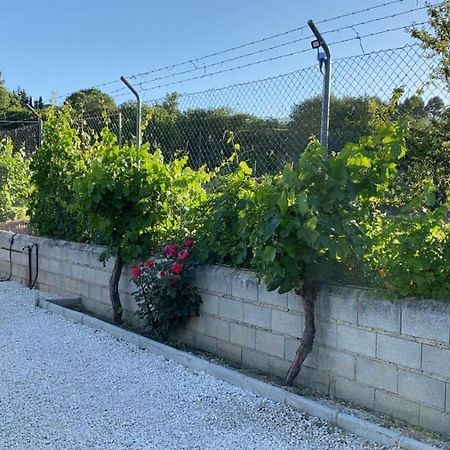 Casa De Campo Patricia Priego de Córdoba Dış mekan fotoğraf